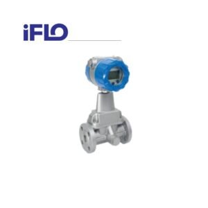 Steam and Gas Meter